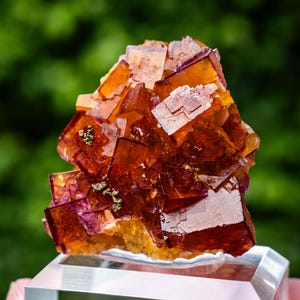 May include: A cluster of translucent, cubic fluorite crystals featuring vibrant shades of orange, amber, and deep purple. The mineral specimen displays sharp geometric edges and small, metallic gold-coloured pyrite inclusions embedded within the structure.