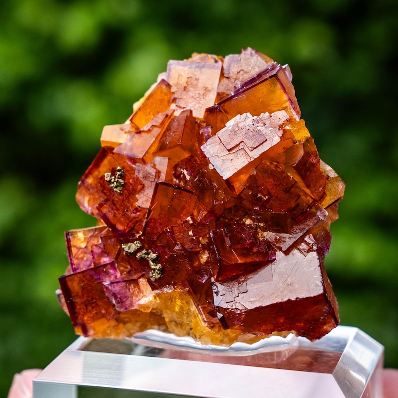 May include: A cluster of translucent, cubic fluorite crystals featuring vibrant shades of orange, amber, and deep purple. The mineral specimen displays sharp geometric edges and small, metallic gold-coloured pyrite inclusions embedded within the structure.