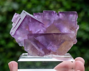 Fluoriet uit Minverva No. 1 Mine, USA