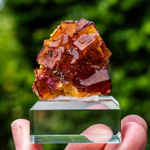 May include: A cluster of translucent, cubic fluorite crystals in shades of deep orange, amber, and purple, featuring small metallic inclusions. The mineral specimen is securely mounted on a clear, rectangular acrylic display base for viewing.