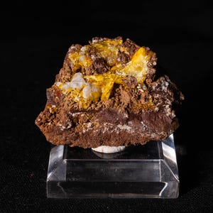 Puede incluir: Un grupo de cristales amarillos brillantes sobre una roca marrón. La roca está sobre un soporte de exhibición de vidrio transparente.