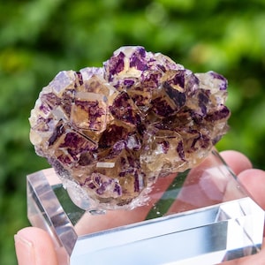 Purple Bunny Pocket Okorusu Fluorite - Etsy