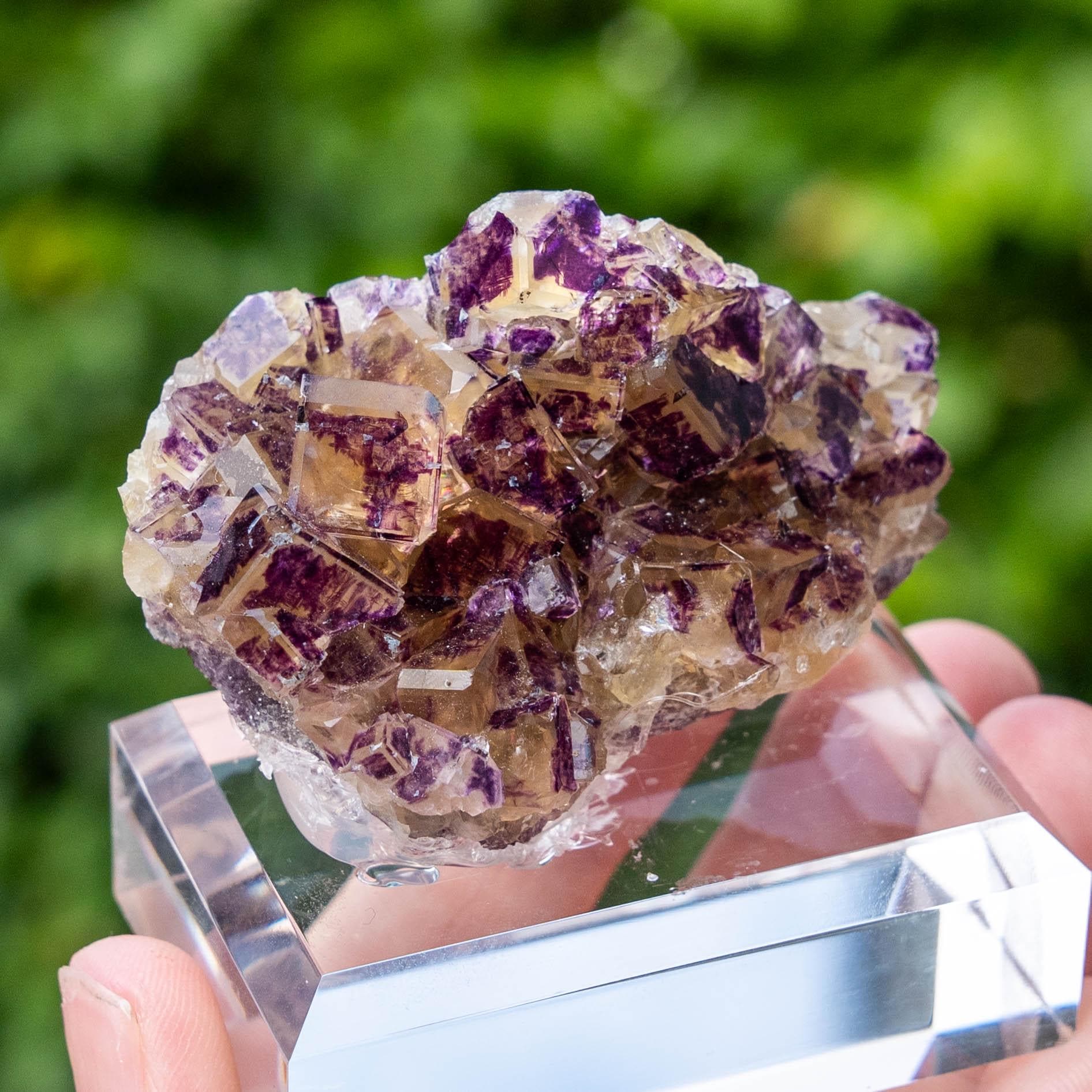 Purple Bunny Pocket Okorusu Fluorite - Etsy