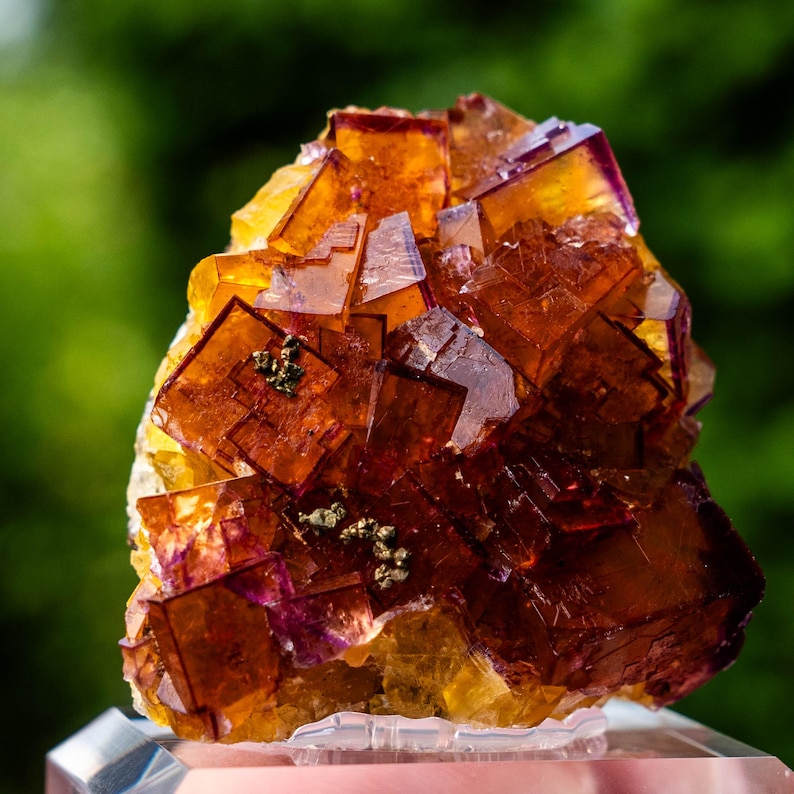 May include: A cluster of translucent, cubic fluorite crystals displaying vibrant shades of orange, amber, and deep purple. The mineral specimen features sharp geometric edges and small, metallic, gold-coloured inclusions embedded within the crystal structure.