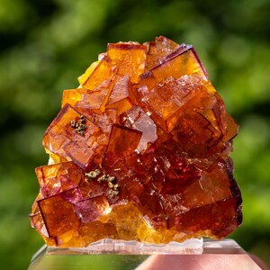 May include: A cluster of translucent, cubic fluorite crystals displaying vibrant shades of orange, amber, and deep purple. The mineral specimen features sharp, geometric edges and small, metallic gold-coloured inclusions embedded within the crystal structure.
