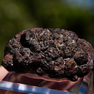 Almandine Garnet, Kerak, Jordan