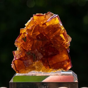 May include: A cluster of translucent, cubic orange and yellow fluorite crystals with deep purple edges. The mineral specimen features sharp, geometric crystal formations with visible internal fractures and sits atop a clear acrylic display base.