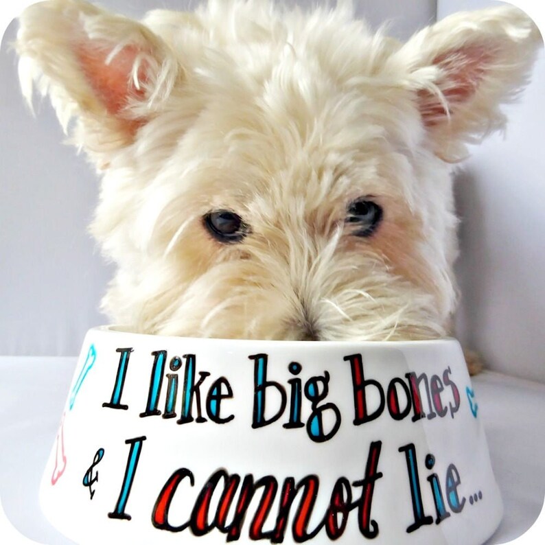 Bones Funny Pet Gift Custom Dog Bowl pet feeder Funny Dog Etsy