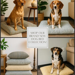 May include: A collage showcasing a new dog bed collection. The image features dogs of different breeds sitting on various square dog beds in shades of green, gray, and yellow. The text "SHOP OUR BRAND NEW DOG BED COLLECTION!" is displayed in a white box.