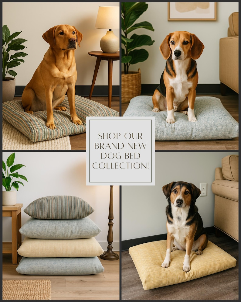 May include: A collage showcasing a new dog bed collection. The image features dogs of different breeds sitting on various square dog beds in shades of green, gray, and yellow. The text "SHOP OUR BRAND NEW DOG BED COLLECTION!" is displayed in a white box.