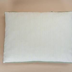 May include: A rectangular pillow with a white and light green striped pattern on the front. The edges are a solid light green. The pillow is placed on a light brown surface.