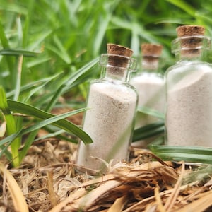 May include: Three small, clear glass bottles with cork stoppers, each filled with a light beige powder. The bottles are arranged in a natural outdoor setting with green grass and dried leaves in the background. The bottles are approximately 5 cm tall.