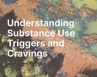 Genesungs-Arbeitsbuch: Meister Cravings & Tribals - Suchthilfe (PDF Download)