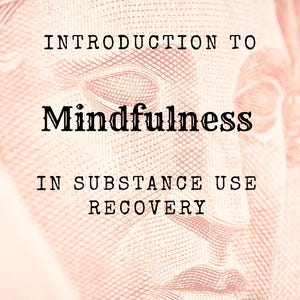 May include: A book cover with the title "Introduction to Mindfulness" in black text. The word "Mindfulness" is in a larger font size. The subtitle reads "In Substance Use Recovery." The background is a close-up of a textured, pinkish-beige surface.