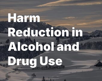 Reduzieren Sie Risiken in 30 Tagen: Ein Arbeitsbuch zur Schadensminimierung, um die Kontrolle über den Alkohol- und drogengebrauch zu übernehmen