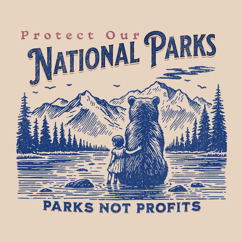 T-shirt Garçon National Park Yellowstone - Couleurs Kaki Ou Gris, Tailles 8 à 14 Ans - Licence Officielle, 100% Coton, Lavage Machine - 3