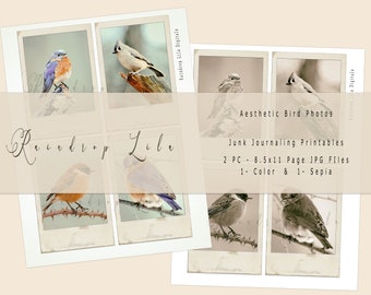 Aesthetic Bird Photo Printable -INSTANT DOWNLOAD- Raindrop Lila Junk Journal and art Digital