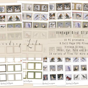 Vintage vogeldia's - afdrukbare fotodia - Junk Journal digitaal, Raindrop Lila