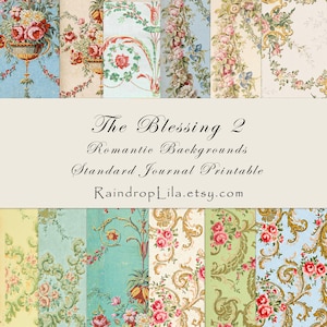 May include: A collection of digital paper patterns featuring floral and scrollwork designs in various pastel colors. The text reads: The Blessing 2, Romantic Backgrounds, Standard Journal Printable, RaindropLila.etsy.com. These are printable sheets.