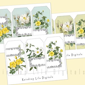 Dreams of Spring - Ephemera Digital Printable for Junk Journaling - Etsy