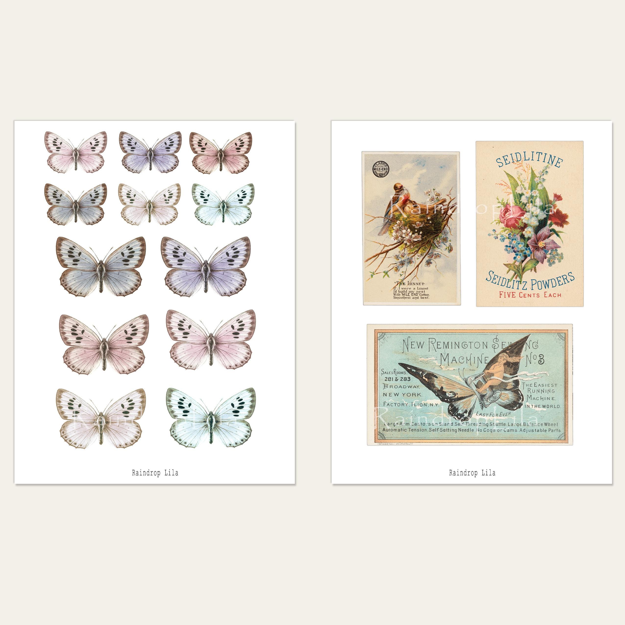 Floral Pastel Ephemera S26 Printable | Junk Journal Kit | Vintage ...