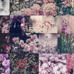 Junk Journal Flowers in Sky Junk Journal Flowers in Sky