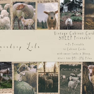 Cartes pour armoire - Moutons et agneaux Cottage Core Photos - m2424 - Raindrop Lila digital