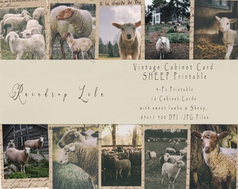 Cabinet Cards- Sheep & Lamb Cottage Core Photos- m2424 -  - Raindrop Lila digital