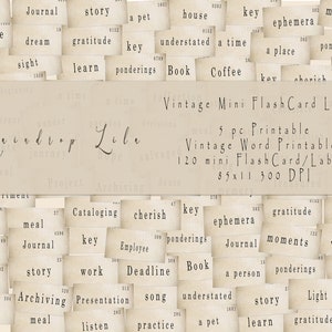 Puede incluir: Un conjunto de 120 mini tarjetas flash vintage con palabras como "memoria", "diario", "historia", "gratitud", "llave", "casa", "efímera", "momentos", "reflexiones", "libro", "café", "querer", "legado", "explorar", "trabajo", "fecha límite", "canción", "práctica", "una mascota", "aprender", "luz", "sonrisa", "vida", y más. Las tarjetas están impresas en un fondo beige con un estilo vintage.