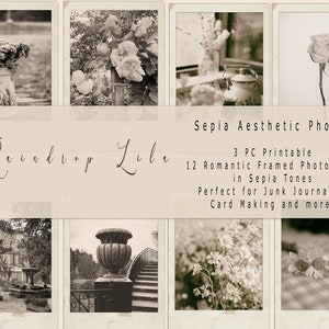 Afdrukbare sepia esthetische foto- INSTANT DOWNLOAD - Raindrop Lila neutraal digitaal