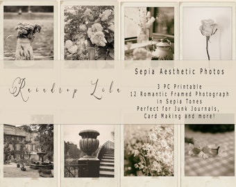 Sepia Aesthetic Photo Printable- INSTANT DOWNLOAD - Raindrop Lila neutral digital