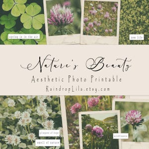 Fotos imprimíveis de beleza e estética da natureza ~ Imagens estéticas digitais para diários e planejadores