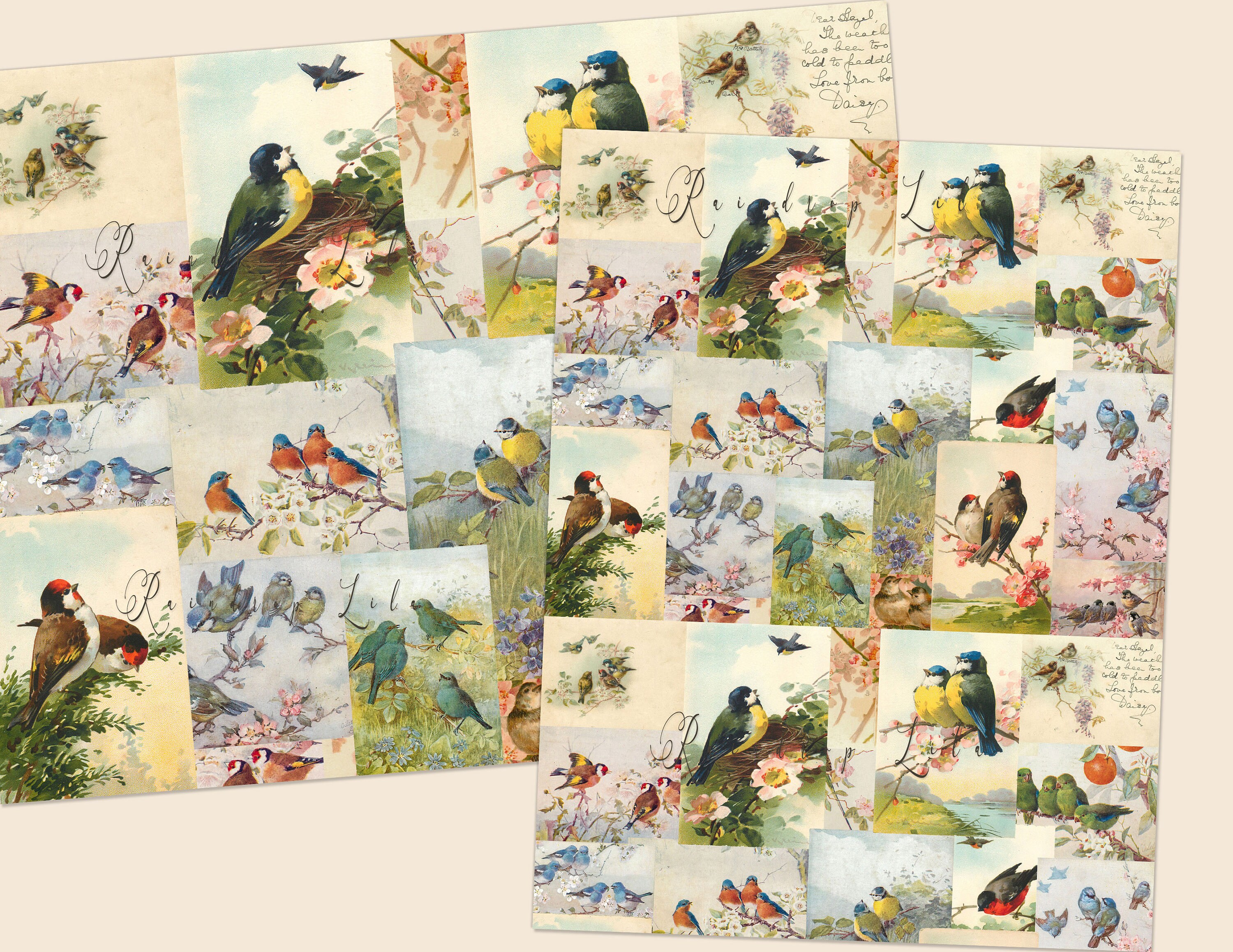 Vintage Bird Printable Paper and Ephemera - Journaling Cards -INSTANT ...