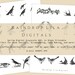Spring Grayscale Digital Kit Printables for Junk Journaling - Etsy