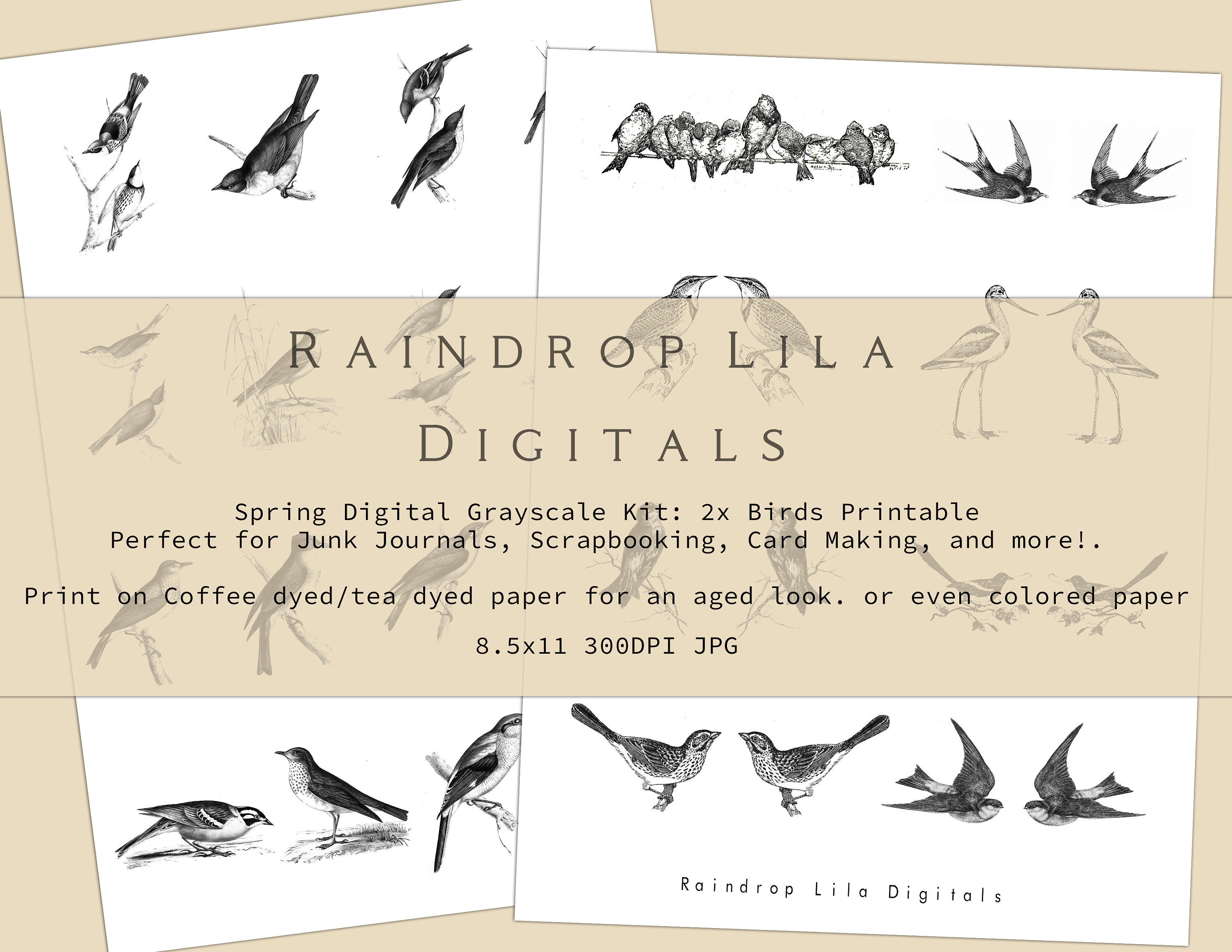 Spring Grayscale Digital Kit Printables for Junk Journaling | Etsy