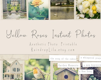 Fotos instantáneas estéticas de rosas amarillas, imprimibles, kit de diario basura, descarga instantánea, lila gota de lluvia digital, scrapbooking, fotos florales