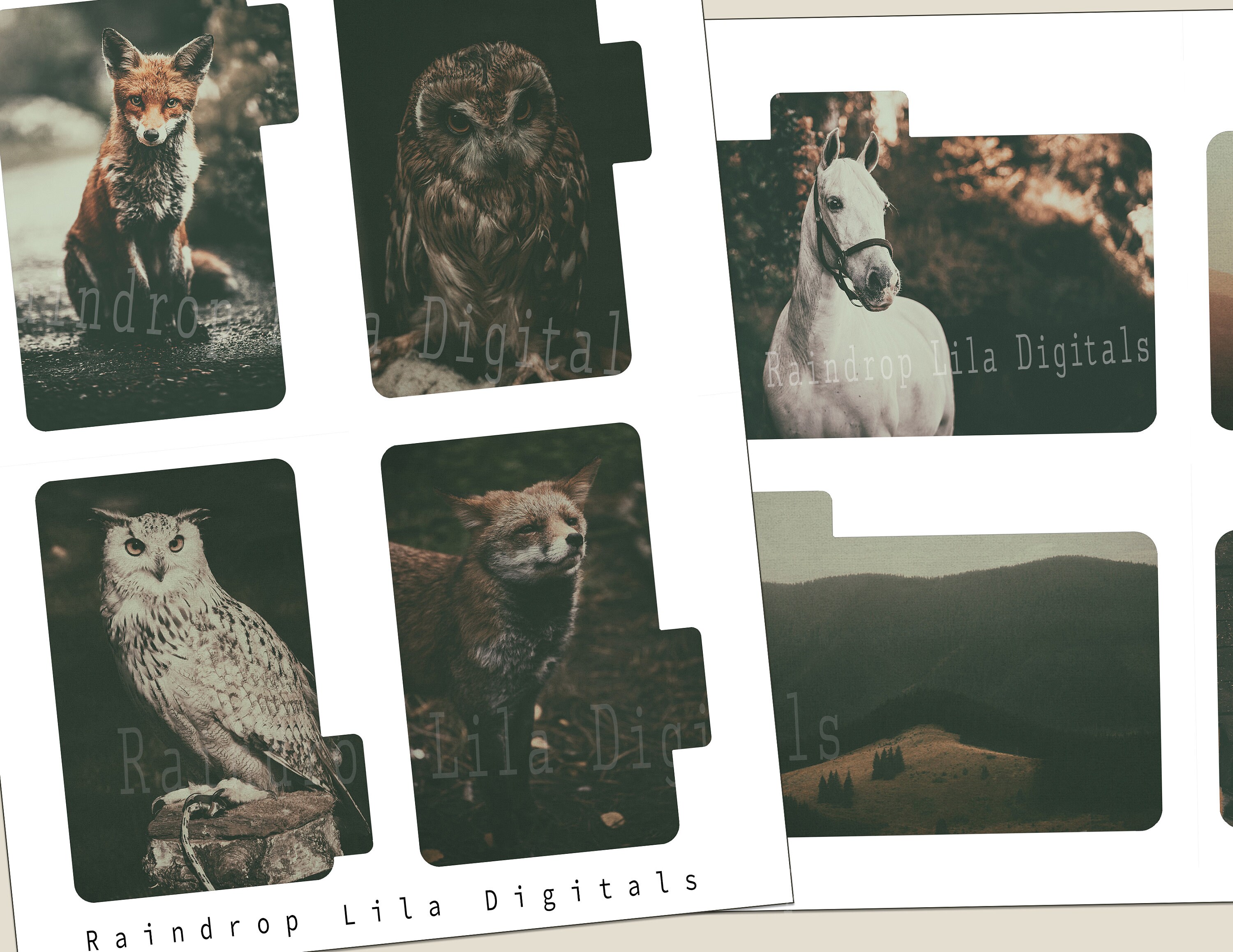 Printable Fall Collection of File Cards for Junk Journals and Planners ...