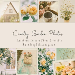 Fotos estéticas de jardins campestres - Foto para impressão instantânea - DOWNLOAD INSTANTÂNEO - Raindrop Lila Digital para Junk Journaling