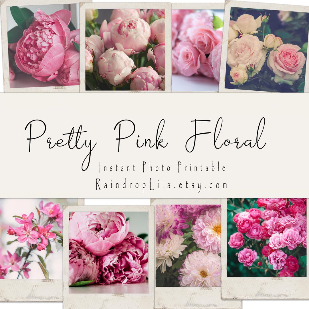 Prontable Pink Roses Pretty Pink Floral Instant Photo, Pink Flowers, Digital Junk Journaling ...