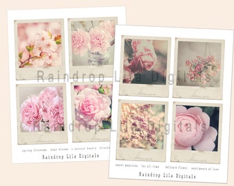 Sweet and Pink Instant Photo floral Photos, Digital Junk Journaling Kit, rose Printable, roses, blush, paper, Pink Sparkle