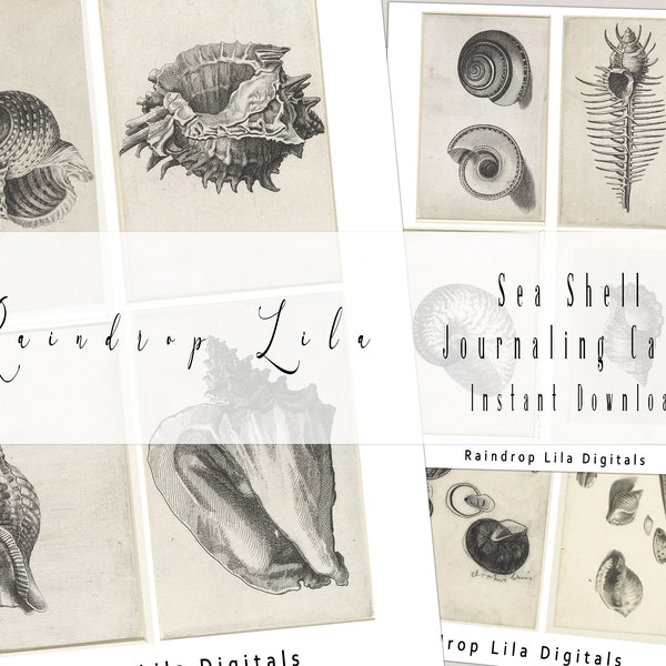 Sea Shell Journaling Cards, Printables, Vintage Ephemera, RAINDROP LILA, Instant Download