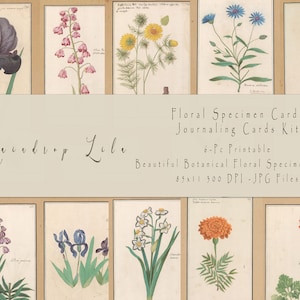 Tarjetas/Diseños de muestra - Botanical Junk Journal IMPRIMIBLE - Lila Gota de Lluvia - Descarga instantánea