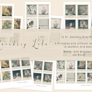 Ästhetischer Vogel Foto Digital - SOFORTIGE FOTOS - für Junk Journals und Dekor - Raindrop Lila Printable
