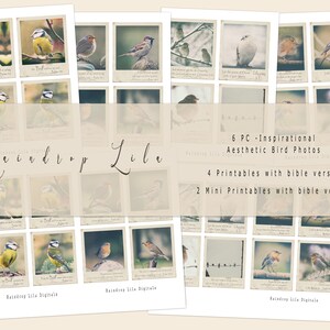 Inspirerende vogelfoto digitaal - INSTANT FOTO'S - voor ongewenste tijdschriften en decor - Raindrop Lila Bijbelstudie afdrukbaar