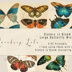 Junk Journal Printable - Grandes asas de borboleta Fussy Cuts - Coleção Sisters in Bloom - Download instantâneo, Colagem de arte digital, Raindrop Lila
