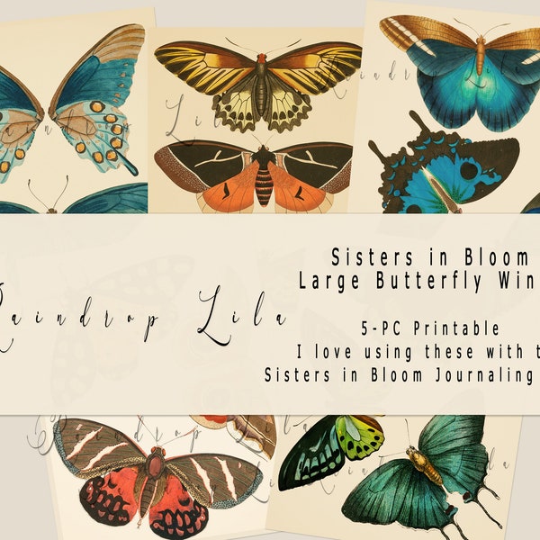 Junk Journal Printable -Large Butterfly Wings Fussy Cuts- Sisters in Bloom Collection-Instant Download, Collage Art digital, Raindrop Lila