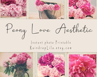 Pfingstrose Liebe ästhetische, Blumen INSTANT PHOTO druckbare, Fotos Stimmung, Regentropfen Lila digital, Scrapbook, Junk-Journal