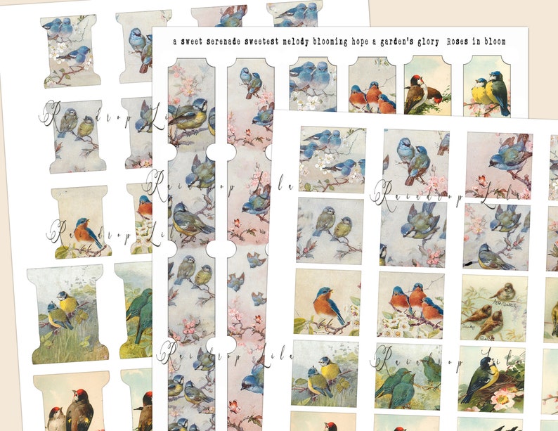 Vintage Bird Printable Paper and Ephemera - Journaling Cards -INSTANT ...