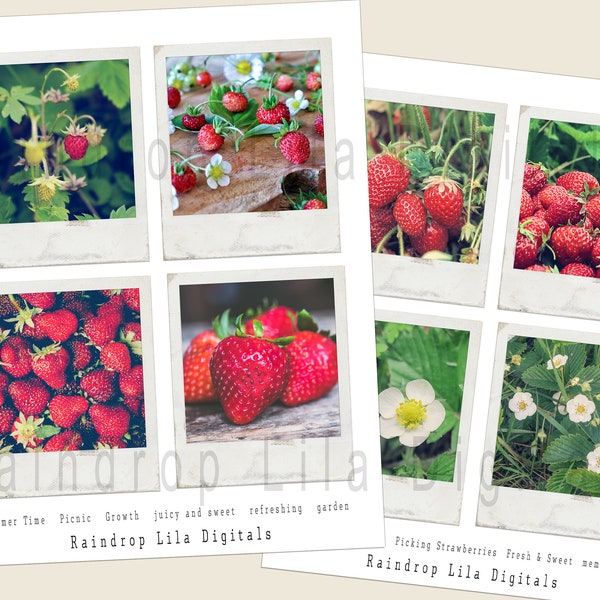 Strawberry Field Aesthetic Instant Photo Printables - Framed PICTURES - with Sentiments