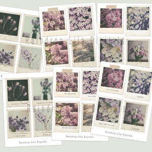 Lavender Mae Digital Floral Instant Photo I - Foto stampabili - sentimenti - Immagini estetiche digitali per Junk Journaling e Planner